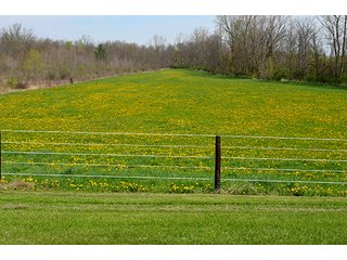 Property photo 114 - REAL ESTATE & PERSONAL PROPERTY AUCTION - 23.5+/- ACRES OFFERED IN 3 TRACTS OR COMBINATIONS IN EAST ALLEN COUNTY